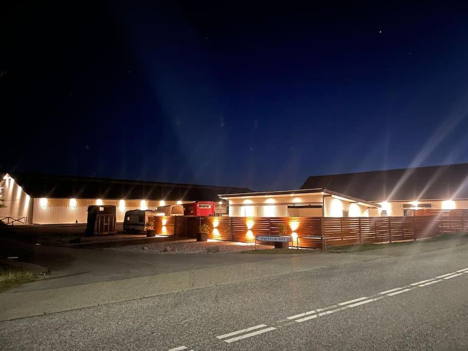 Stor Rummelig Lejlighed Med Egen P-Plads Kolding Dış mekan fotoğraf